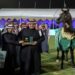 "مربط عذبة يحصد الذهب في العرض السابع لجمال الخيل العربية"