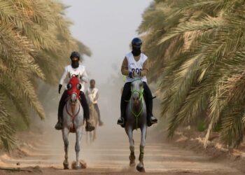 230 متسابقًا يتنافسون على «كأس التحدي» بالرياض