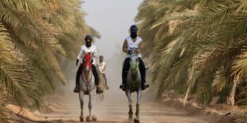 230 متسابقًا يتنافسون على «كأس التحدي» بالرياض