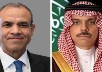 مباحثات سعودية - مصرية حول تطورات الأزمة السورية