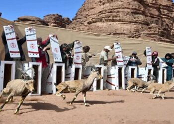 مجلة عالمية تكشف عن تنوع أحيائي غني في موائل السعودية