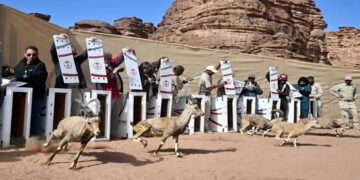 مجلة عالمية تكشف عن تنوع أحيائي غني في موائل السعودية