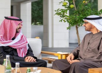 خالد بن سلمان يبحث التطورات الإقليمية مع محمد بن زايد