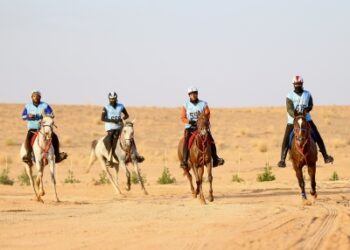 فروسية نجران” تُنظّم سباقها الثاني للموسم الحالي غدًا