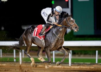الجواد “وارد الجود” يحقق كأس أمانة المنطقة في الحفل الثاني لسباقات الخيل بنجران
