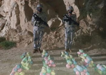 "حرس الحدود بجازان يحبط تهريب 270 كيلوجرامًا من القات المخدر"