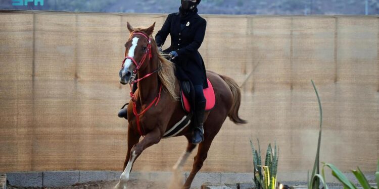 ركوب الخيل والرماية.. فعالية رياضية جاذبة في شتاء محايل عسير