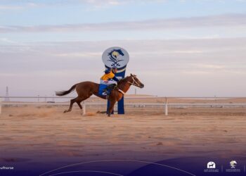 "بنت مهجدة تتوج بطلة خامس سباقات ميدان الفروسية بالجوف"