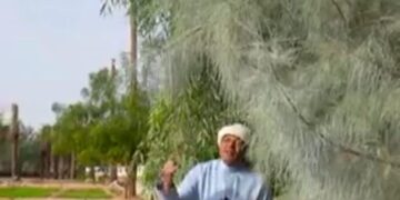 باحث فلكي: لكل موسم نجم وسلوك زراعي وسلوك حشري