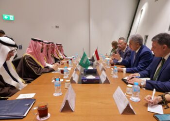 مصر والسعودية تبحثان تعزيز التعاون في مجال الآثار