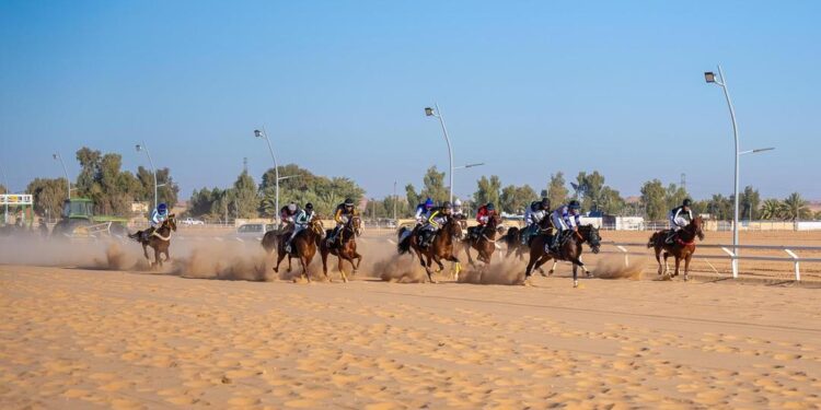 أممي بطل لكأس السباق السابع لفروسية الجوف