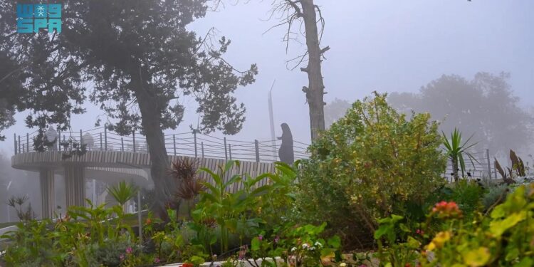 "الضباب الكثيف" يرسم لوحة جمالية بين الأشجار والحدائق في الباحة