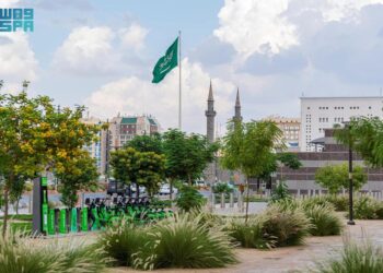 زراعة أكثر من 153 ألف شجرة تعزّز جمالية المشهد الحضري للمدينة المنورة