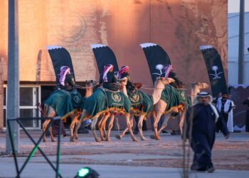 وزارة الداخلية تعزز الأمن والسلامة العامة في مهرجان الملك عبدالعزيز للإبل بالصياهد