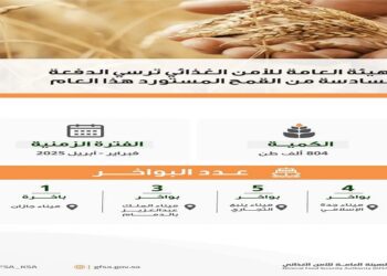 "الأمن الغذائي" ترسي الدفعة السادسة من القمح المستورد لعام 2024