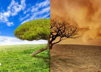 مختص: من أسباب تغير المناخ فساد الإنسان الذي تعامل مع الغلاف الجوي بشيء من الجنون والأنانية