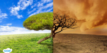 مختص: من أسباب تغير المناخ فساد الإنسان الذي تعامل مع الغلاف الجوي بشيء من الجنون والأنانية