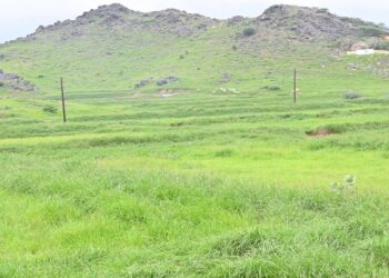 "غرفة جازان تُنظّم ملتقى لدعم الاستثمار في القطاع الجبلي"