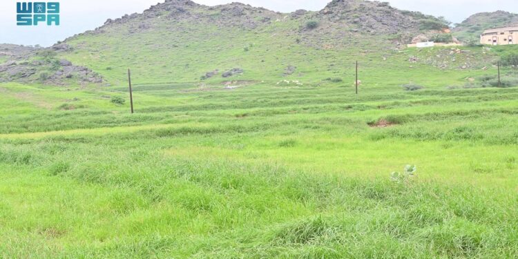 "غرفة جازان تُنظّم ملتقى لدعم الاستثمار في القطاع الجبلي"