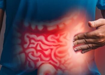 دراسة طبية تُحذِّر: زيوت البذور تُهدِّد الصحة وترفع خطر الإصابة بسرطان القولون