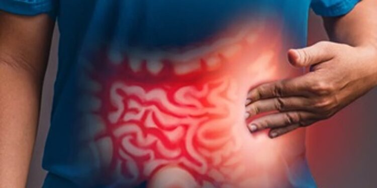 دراسة طبية تُحذِّر: زيوت البذور تُهدِّد الصحة وترفع خطر الإصابة بسرطان القولون