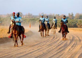 الفارس الزايدي بطلًا لسباق التحدي للقدرة والتحمل