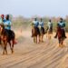 الفارس الزايدي بطلًا لسباق التحدي للقدرة والتحمل