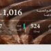 وزارة الصناعة والثروة المعدنية تنفذ 1016 جولة رقابية على المواقع التعدينية خلال شهر أكتوبر الماضي