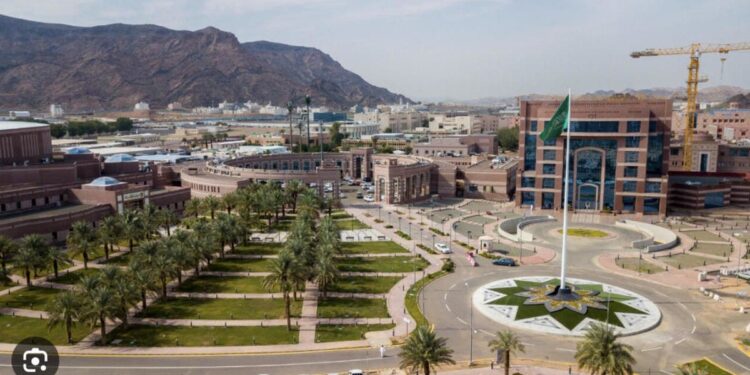 جامعة طيبة بالمدينة المنورة تسجل براءتي اختراع علميتين