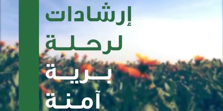 9 نصائح لرحلة برية صحية وآمنة