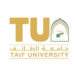 “الذكاء الاصطناعي والإبداع في التمريض” ندوة بجامعة الطائف