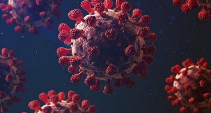 هل تقلص كورونا الشديدة حجم الأورام السرطانية؟