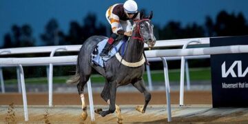 نادي سباقات الخيل ينظم أسبوعه العاشر من موسم سباقات الرياض