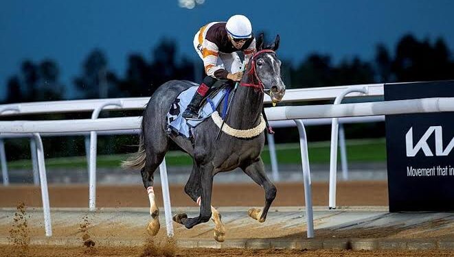 نادي سباقات الخيل ينظم أسبوعه العاشر من موسم سباقات الرياض