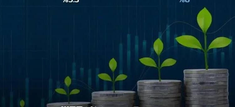 أكثر من 12 مليون محفظة استثمارية للأفراد بسوق الأسهم الرئيسية في الربع الثالث 2024