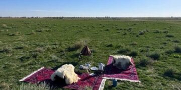 روضة “أم المجالس” بساجر تكتسي بالنباتات البرية وترسم لوحات جمالية