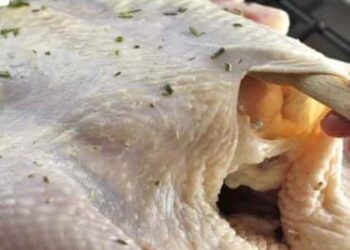 أخصائية تغذية: جلد الدجاج مصدر جيد لصحة القلب.. لكنه قد يكون مضرًا في هذه الحالة