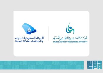 "الكهرباء" و"المياه" تدعوان المستفيدين لتوثيق العدادات
