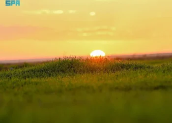 الشتاء في الحدود الشمالية.. لوحة طبيعية وأجواء ترفيهية متكاملة