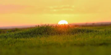 الشتاء في الحدود الشمالية.. لوحة طبيعية وأجواء ترفيهية متكاملة