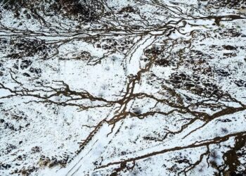 "مشهد ساحر: أمطار الطائف ترسم لوحة جمالية مع تدفق الشلالات من أعالي الجبال"