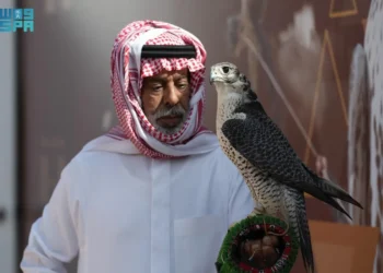 تنافس كبير بين المُلاك المحليين على الكؤوس في اليوم الـ 15 لمهرجان الملك عبدالعزيز للصقور 2024