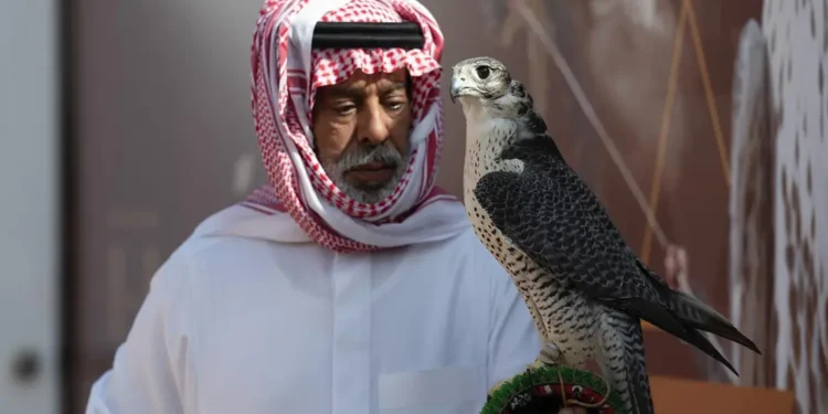 تنافس كبير بين المُلاك المحليين على الكؤوس في اليوم الـ 15 لمهرجان الملك عبدالعزيز للصقور 2024