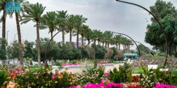 أمانة حائل تهيئ الحدائق والمتنزهات لاستقبال الزوار خلال إجازة منتصف العام الدراسي