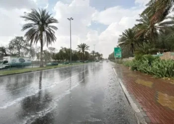 ‏محلل طقس: موجة هوائية قطبية باردة في نهاية الأسبوع.. قد تصل إلى الصفر المئوي في هذه المناطق