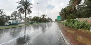 ‏محلل طقس: موجة هوائية قطبية باردة في نهاية الأسبوع.. قد تصل إلى الصفر المئوي في هذه المناطق