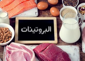 مختص: البروتين هو الخيار الأفضل لدعم الصحة وإنقاص الوزن