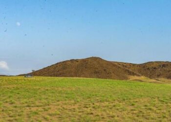 المسند: بقى على موسم العقارب 13 يومًا وإجازة الشتاء 27