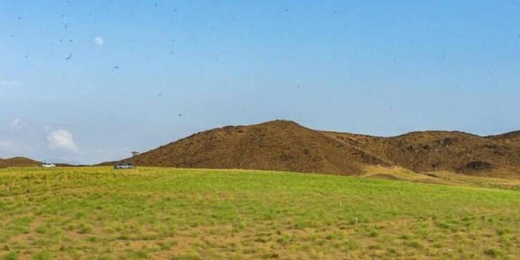 المسند: بقى على موسم العقارب 13 يومًا وإجازة الشتاء 27