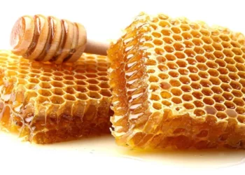 على الهواء.. محمد العامري يوضح الفرق بين العسل الطبيعي والمغشوش (فيديو)